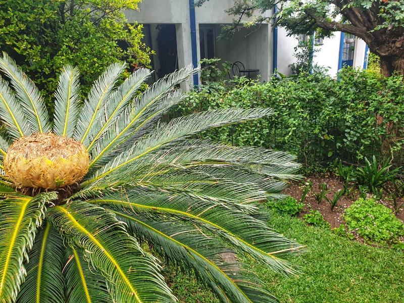 7 Bedroom Property for Sale in Lichtenburg North West